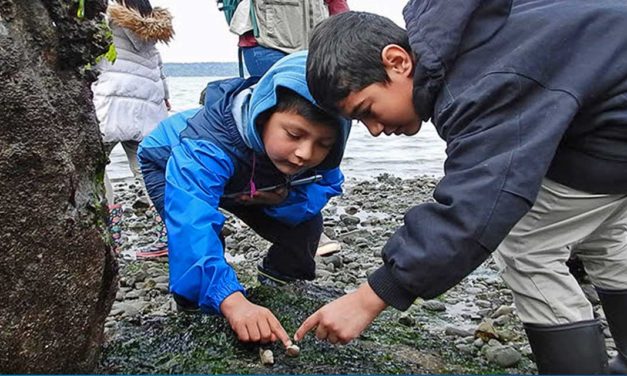 Port of Seattle awards $45,000 in environmental grants to five community groups