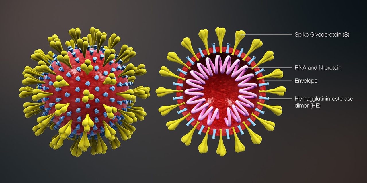 First coronavirus fatality in U.S. is in King County; Inslee proclaims State of Emergency