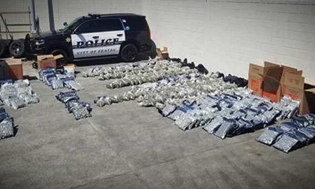 SeaTac Police Detectives make large marijuana bust