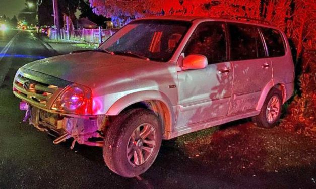 Driver arrested after long police chase through SeaTac Wednesday; 2 kids were inside SUV