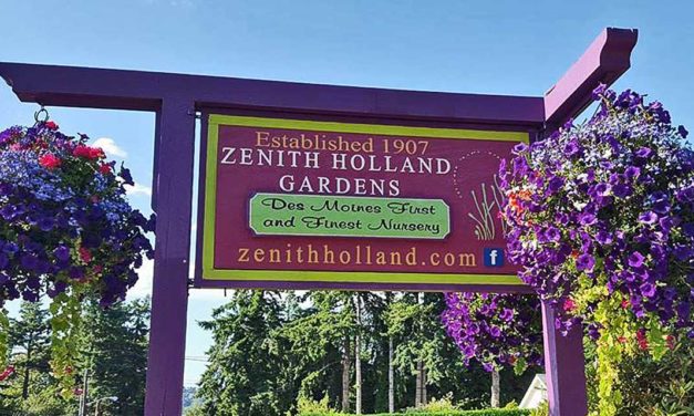 Is your back yard 4th of July ready? Find all you need at Zenith Holland Nursery and Gift Shop