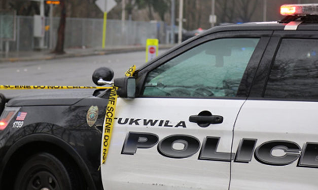 Auto theft suspect arrested after ramming multiple patrol cars in Tukwila