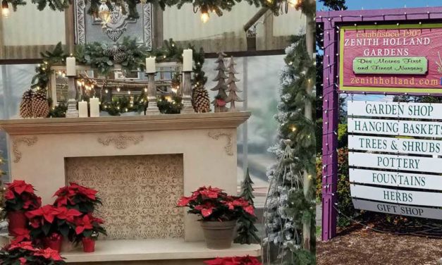 Open House at Zenith Holland Nursery will be this weekend, Nov. 12-14
