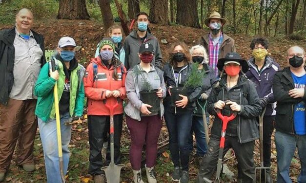 Volunteers needed for work party at North SeaTac Park this Sunday, Dec. 19