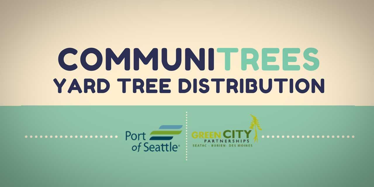 Here’s how you can get a free yard tree from CommuniTrees