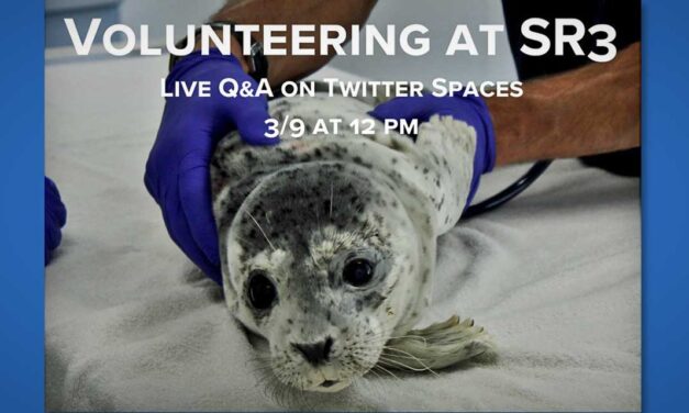 Learn about Volunteering at SR³ at online event this Wednesday