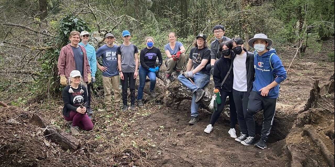 Volunteers needed for North SeaTac Park Forest Rescue on Sunday, May 15