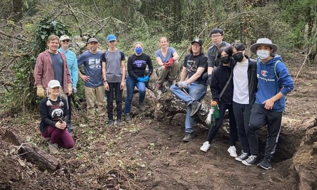 Volunteers needed for North SeaTac Park Forest Rescue on Sunday, May 15