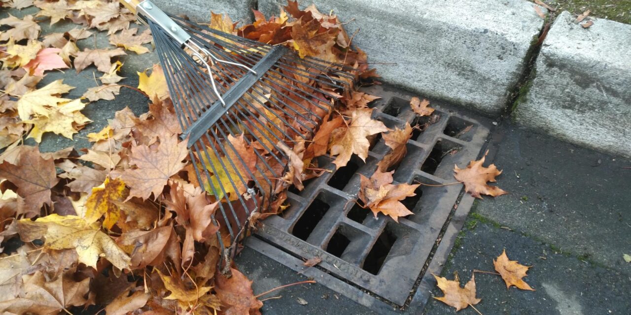 The City of SeaTac wants residents to ‘Adopt A Drain’