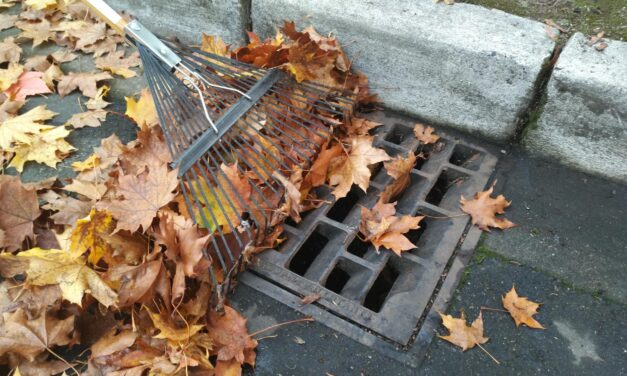 The City of SeaTac wants residents to ‘Adopt A Drain’