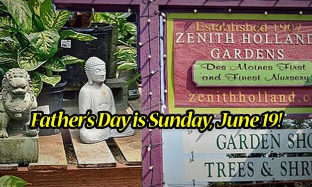 Dads in the garden love gifts from Zenith Holland Gardens and Gift Shop
