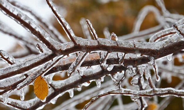 WEATHER: Before our region warms up, freezing rain may make a visit
