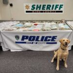 Police make ‘massive’ drug bust, seize drugs & arrest 12