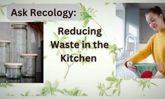 Ask Recology: ‘How can I reduce waste in my everyday lifestyle?’