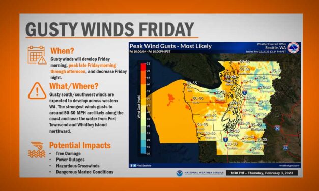 WEATHER: National Weather Service issues Wind Advisory