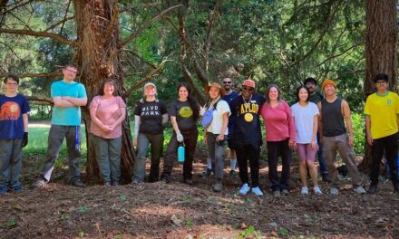Volunteers needed to help restore healthy forest in North SeaTac Park on Oct. 15 & 21