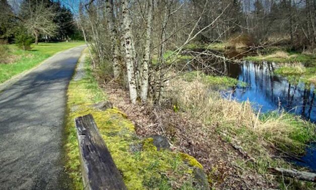 All invited to join WABI Bikers on a ride through Soos Creek Trail on Wednesday, May 29
