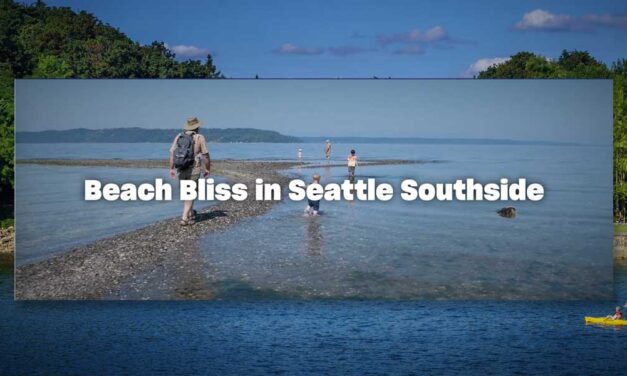 Explore Seattle Southside’s Seattle Summer Beach Guide