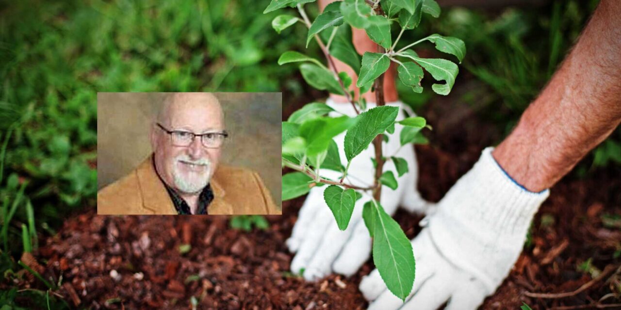 The Garden Guy: August a Good Time to Plant an Autumn Vegetable Garden