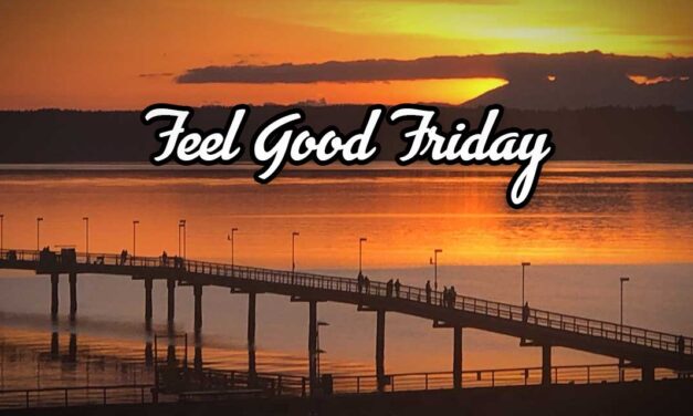 FEEL GOOD FRIDAY: A place to land.