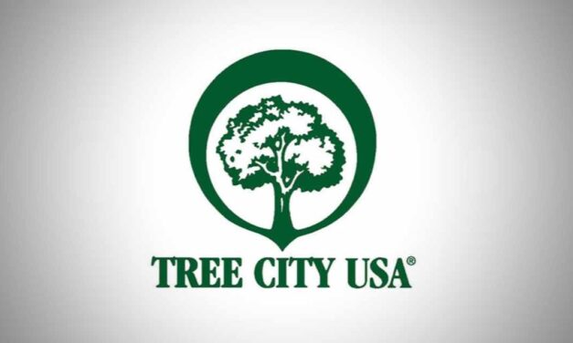 City of SeaTac named as Tree City USA member