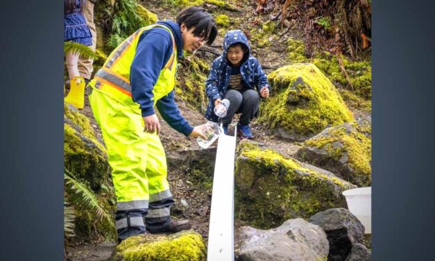 Help send baby Coho salmon into Des Moines Creek on Saturday, April 26
