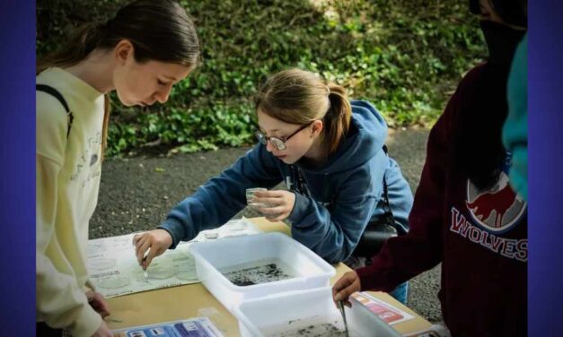 City of SeaTac seeking Volunteers for 2025 StormFest, coming June 10-12
