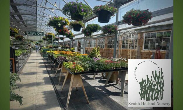 Mother’s Day is Sunday, May 11 – find  the perfect gift at Zenith Holland Nursery and Gifts