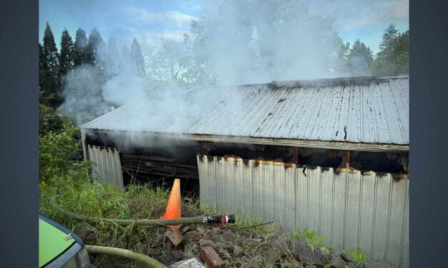 Firefighters extinguish large shed fire in SeaTac Sunday; one injured