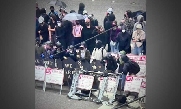 Officers use pepper spray to disperse protestors blocking federal access in Tukwila