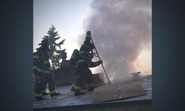 Dog rescued, no injuries in carport fire in SeaTac Wednesday morning