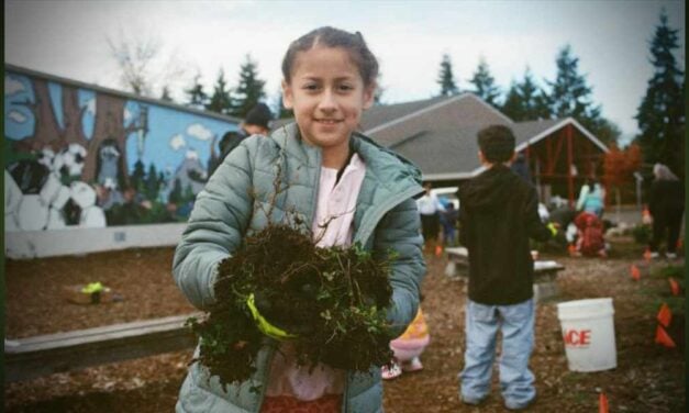 Port of Seattle awards $850K for community-led environmental improvements in region