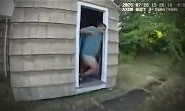 VIDEO: Burglary in Burien leads deputies to stolen car, wild chase through SeaTac and Tukwila